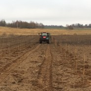 Preparing the fields for planting.